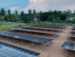 Perkuat Sistem Kelistrikan di Daerah Perbatasan, PLN Kembangkan PLTS di Sambas-Kalbar