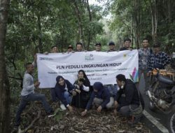 Jaga Lingkungan Hidup, PLN Tanam 200 Pohon di Kalimantan Selatan