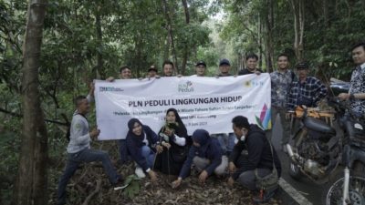 Jaga Lingkungan Hidup, PLN Tanam 200 Pohon di Kalimantan Selatan