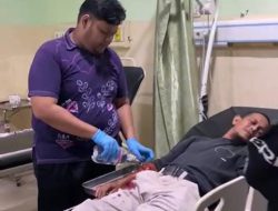 Dalam Sepekan 4 Orang Warga Banjarbaru Diserang Monyet Liar