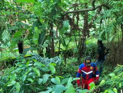 BKSDA Sudah Pasang Jebakan Untuk Tangkap Kera yang Resahkan Warga