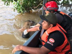 Akhirnya Jasad Alex Barito Ditemukan Mengapung 1 Kilometer dari TKM