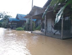 Sungai Pinang Banjir, Air Sudah Selutut Orang Dewasa