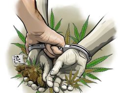 Berbeda di Daerah Lain, Kasus Ganja Dominasi Perkara di Kabupaten Banjar Selama 2023