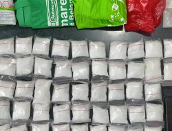 Buruh Harian Lepas Ketangkap Basah Bawa 5,2 Kilogram Sabu Dalam Kemasan Popok