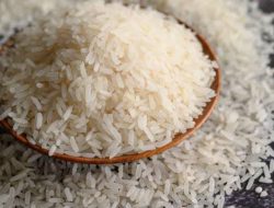 Stok Beras Premium di HST Menipis Jelang Ramadhan