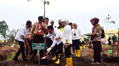 Lahan Seluas 137.243 Hektar Jadi Fokus Gerakan Revolusi Hijau Pemprov Kalsel