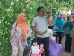 Panen Buah dan Sayur di Kebun PKK Banjar, Gita Puas Dengan Hasilnya