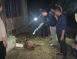 Tak Terima Ditegur, Seorang Anak di Hulu Sungai Tengah Tega Bunuh Ayah Kandungnya Sendiri