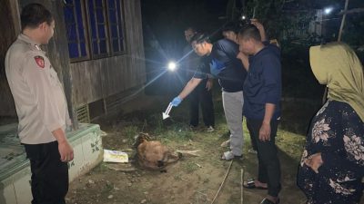 Tak Terima Ditegur, Seorang Anak di Hulu Sungai Tengah Tega Bunuh Ayah Kandungnya Sendiri