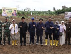 Kementerian KLHK dan Pemprov Kalsel Tanam Pohon Serentak di RTH KIB Tanbu