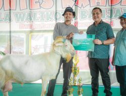 Gelar Kontes Kambing, Upaya Banjarbaru Menjadi Pusat Ternak Unggulan