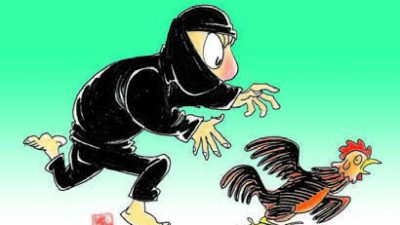 Pelaku Maling Ayam Resahkan Warga Martapura Jelang Idul Fitri