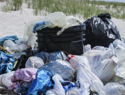 Idul Adha 2022 Tanpa Sampah Plastik, Bupati Zairullah Terbitkan Aturan Berikut