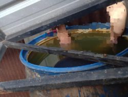 Heboh! Tukang Las Ditemukan Tenggelam Dalam Tong, Polisi Lakukan Penyelidian