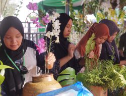 DPC PAI Balangan Gelar Orchid Show, 97 Peserta Andil Bagian