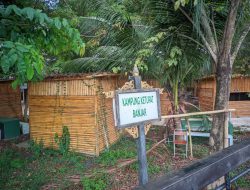 Khawatir Dijadikan Tempat Mesum, Destinasi Wisata Kampung Ketupat Tak Lagi Beroperasi
