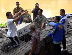 Panen Raya Ikan Nila di Desa Kandang Jaya