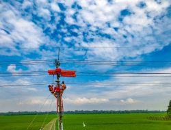 Pendapatan PLN Tumbuh Signifikan Mencapai Rp487 Triliun, Ditopang Peningkatan Penjualan Tenaga Listrik