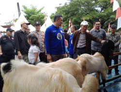 Peringati Hari Bhayangkara ke-78, Sekda Tanbu Hadiri Kontes Kambing Piala Kapolres