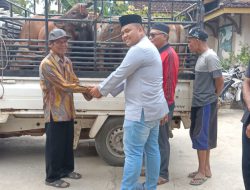 Bantuan Ternak Kambing dan Sapi di Desa Uwie Berhasil Ciptakan Sentral Ternak di Wilayah Utara Tabalong