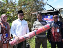 Bupati Aulia Serahkan Bantuan Kepada Korban Kebakaran