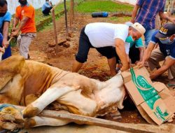 Juleha Akan Beri Pelatihan Tukang Jagal