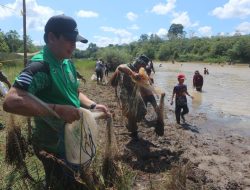 Kegiatan “Bagagap Iwak” di Balangan Jadi Tradisi Tahunan Bagi Masyarakat