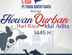 Idul Adha 1445 H, PT URB Group Melalui Anak Perusahaan Bagikan Puluhan Hewan Kurban