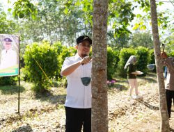Bupati HST Sadap Karet Perdana di Desa Labunganak