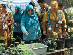 Bersaing dengan 5 Kabupaten/Kota se- Kalsel, Banjarmasin Ikuti Penilaian Lomba Kestrad Asmantoga 2024
