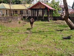 Tak Terawat dan Gagal Relokasi, KBM Jahri Saleh Akan Dijadikan TES