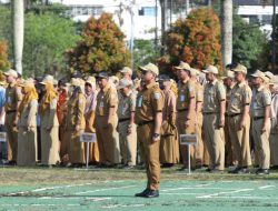 Masa Pendaftaran CPNS 2024 Berakhir, Pemkab HST Buka Ratusan Formasi