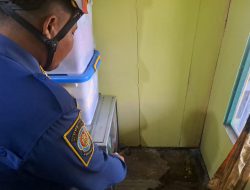 Ular Kobra Bikin Panik Salah Satu Warga Desa Makmur