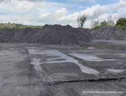 Direksi Baramarta Angkat Bicara Persoalan 5.000 Ton Batubara Bermasalah