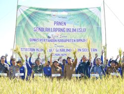 Pemkab Banjar Panen Bersama Poktan Sungai Batang Sekaligus Penutupan Sekolah Lapangan Iklim