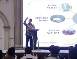 Pemprov Kalsel Pasang Target Cetak 500 Ribu Hektar Sawah, Dukung Program Swasembada Pangan Presiden Prabowo