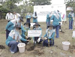 Kolaborasi PIKK dan Srikandi PLN Gelar Aksi Tanam 150 Bibit Pohon di Balikpapan Timur