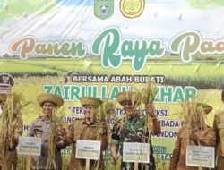 Bupati Zairullah Hadiri Panen Raya Padi di Desa Manurung Kusan Tengah