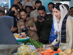 Wakil Menteri Perdagangan, Sambangi Pasar Pandu dan Berdialog Langsung Dengan Para Pedagang