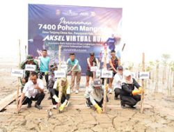 Bank Kalsel Bersama DLH Tanam 7.400 Bibit Mangrove