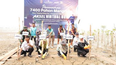 Bank Kalsel Bersama DLH Tanam 7.400 Bibit Mangrove