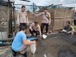 Ribuan Ikan di Keramba Banua Anyar Mati Mendadak, Kapolsek Bantim Berikan 1000 Bibit Ikan: Dukung Program Ketahanan Pangan