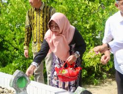 Dalam Rangka Memulai Rangkaian Hari Jadi ke-59, Pemkab Tabalong Lakukan Ziarah Bupati Terdahulu