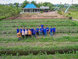 Tingkatkan Keberhasilan Panen, BPP Liang Anggang Rutin adakan Pertemuan dengan Petani