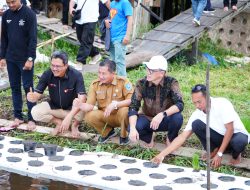 Bank Kalsel dan OJK Saling Sinergi Sukseskan Program Padi Apung