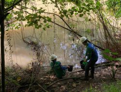 PT MMI Jamin Operasional Pertambangan Sesuai Standar Lingkungan