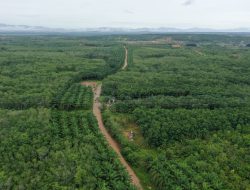 PT Arutmin Indonesia Minta SPT kepada Pihak yang Terdampak Sebagai Proses Pemenuhan AMDAL