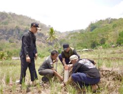 Pasang Tanda Batas Tanah di Kampung Halaman saat Mudik Bisa Terhindar dari Sengketa Pertanahan