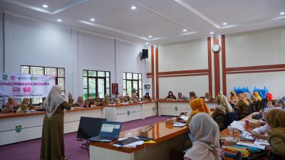 Dinkes Balangan Gelar Orientasi Revisi Buku KIA 2024 ke Versi Terbaru